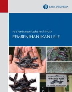 PEMBENIHAN IKAN LELE - Bank Indonesia