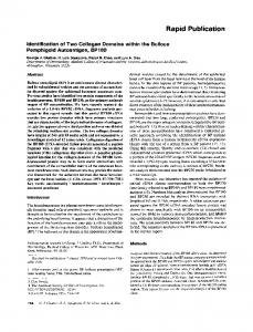 Pemphigoid Autoantigen, BP180