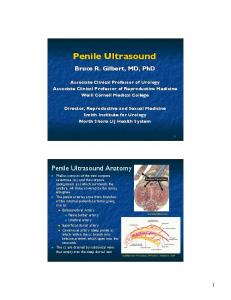 Penile Ultrasound - Russell Group LLC