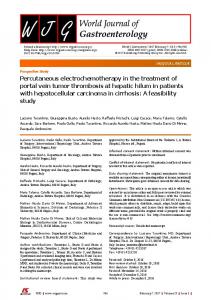 Percutaneous electrochemotherapy in the treatment of portal vein ...