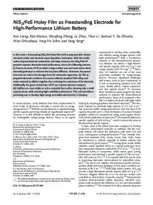 Performance Lithium Battery