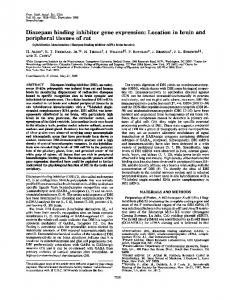 peripheral tissues of rat - Europe PMC