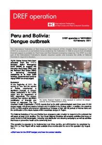 Peru and Bolivia: Dengue outbreak