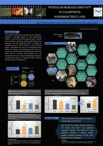 petroleum increases sensibility to chlorpyrifos in liver rainbow trout