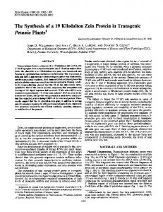 Petunia Plants - NCBI