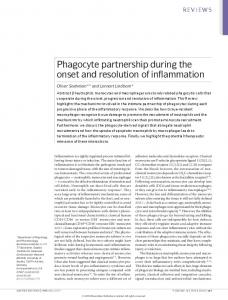 Phagocyte partnership during the onset and resolution of inflammation