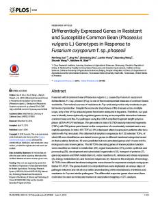 Phaseolus vulgaris L. - PLOS