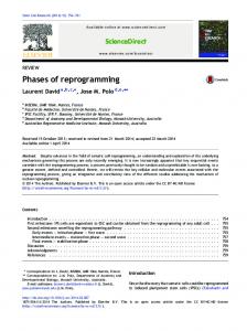 Phases of reprogramming - Core