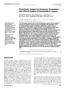 Phenotypic comparison between rhizosphere and clinical ... - CiteSeerX