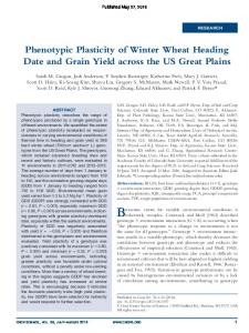 Phenotypic Plasticity of Winter Wheat Heading Date