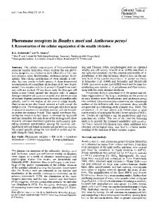 Pheromone receptors in - Springer Link