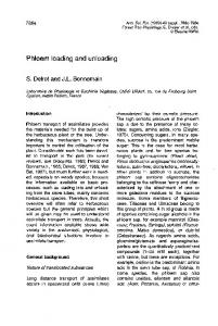 Phloem loading and unloading