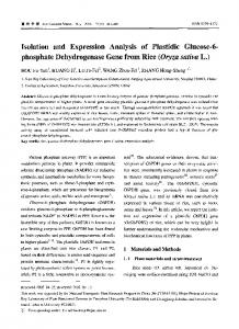 phosphate Dehydrogenase Gene from Rice (Oryza ...