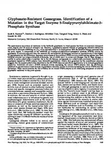 Phosphate Synthase - Plant Physiology