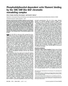 Phosphatidylinositol-dependent actin filament ... - Semantic Scholar