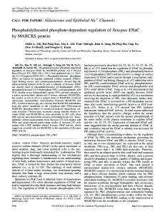 Phosphatidylinositol phosphate-dependent regulation of Xenopus ...