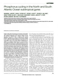 Phosphorus cycling in the North and South Atlantic Ocean subtropical ...