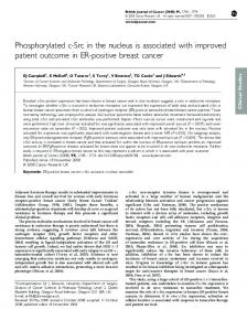 Phosphorylated c-Src in the nucleus is associated with ... - Nature