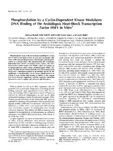 Phosphorylation by a Cyclin-Dependent Kinase Modulates ... - NCBI