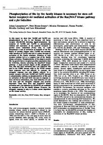 Phosphorylation of Shc by Src family kinases is necessary for stem cell ...