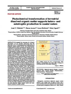 Photochemical transformation of terrestrial dissolved organic matter ...