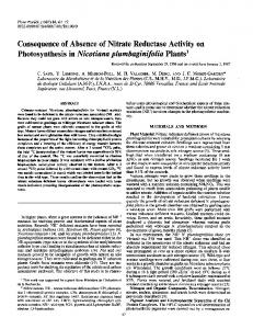 Photosynthesis in Nicotianaplumbaginifolia Plants - NCBI