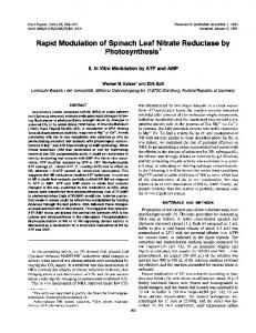 Photosynthesis - NCBI