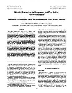 Photosynthesis - NCBI