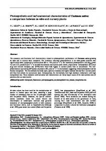 Photosynthetic and leaf anatomical characteristics of Castanea sativa