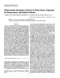 Photosynthetic Responses of Leavesto Water Stress ... - NCBI