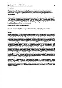 Photosystem II photochemical efficiency, zeaxanthin ... - Springer Link