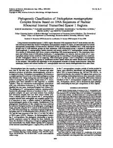 Phylogenetic Classification of Trichophyton mentagrophytes Complex ...