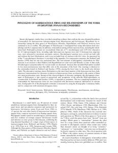 phylogeny of marsileaceous ferns and