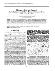 Phylogeny of the Late Paleozoic Superfamily ... - Springer Link