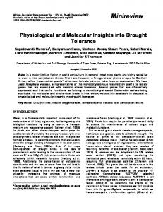 Physiological and Molecular Insights into Drought Tolerance