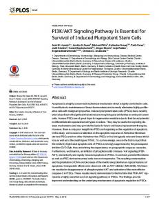 PI3K/AKT Signaling Pathway Is Essential for ... - Semantic Scholar