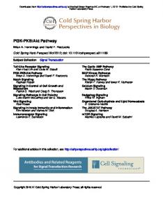 PI3K-PKB/Akt Pathway