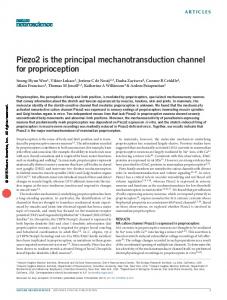 Piezo2 is the principal mechanotransduction channel ...