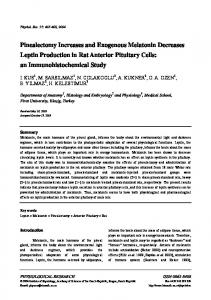Pinealectomy Increases and Exogenous Melatonin ... - Semantic Scholar