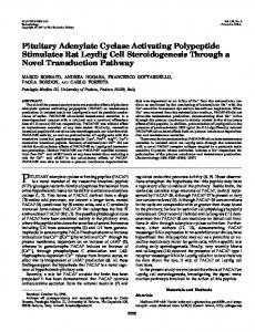 Pituitary Adenylate Cyclase Activating Polypeptide Stimulates Rat ...