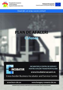 PLAN DE AFACERI - Incubator