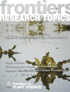 Plant responses to flooding