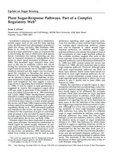 Plant Sugar-Response Pathways. Part of a ... - Plant Physiology