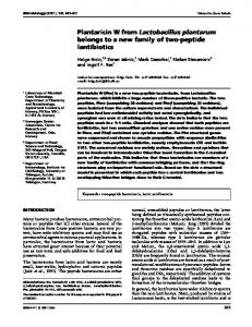 Plantaricin W from Lactobacillus plantarum ... - Semantic Scholar