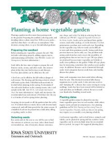 Planting a home vegetable garden