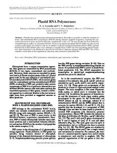 Plastid RNA Polymerases - Springer Link