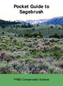 Pocket Guide to Sagebrush - SageSTEP