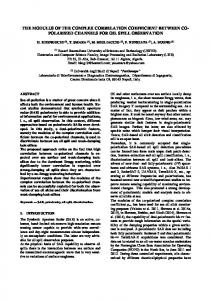 polarized channels for oil spill observation