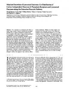 Polarized Secretion of Lysosomal Enzymes: Co ... - BioMedSearch