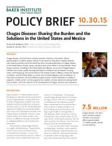 policy brief - Baker Institute